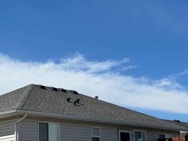 Best Chimney Flashing Repair  in Big Spring, TX